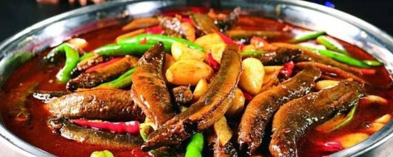 泥鳅的做法家常(泥鳅的做法大全视频教程)