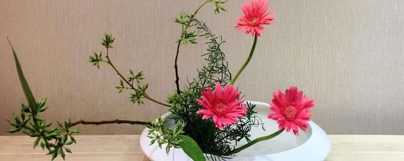 插花时水里放盐还是放糖(插花时水中是放盐还是放糖)