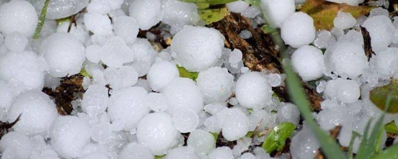 冰雹是怎样形成的50个字(冰雹是怎样形成的物态变化)
