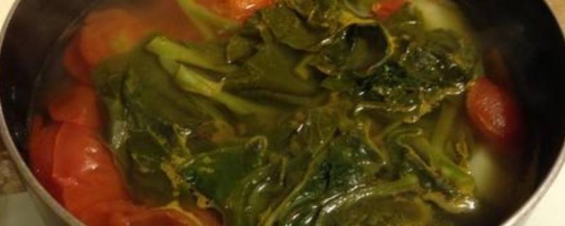 韭菜能和西红柿一起吃吗(西红柿和叶子菜能一起吃吗)