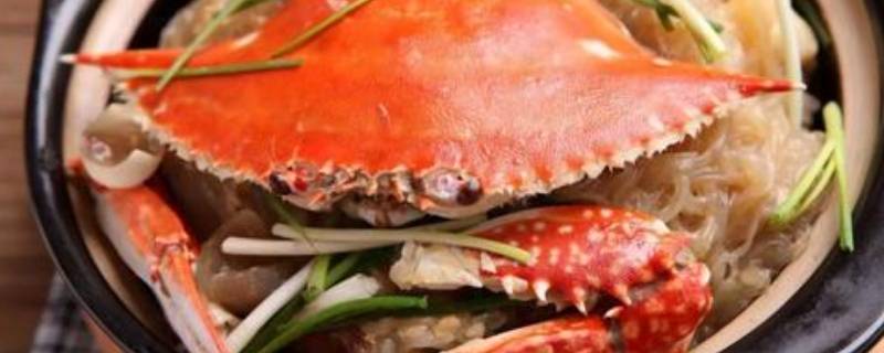 梭子蟹蒸熟了怎么保存(蒸完的梭子蟹怎么保存)