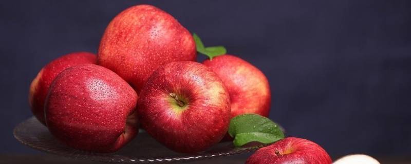 长在树上的水果视频(长在树上的水果叫什么)