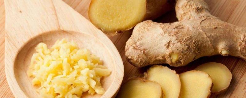 姜如何保存时间最长(姜怎么保存时间长久)