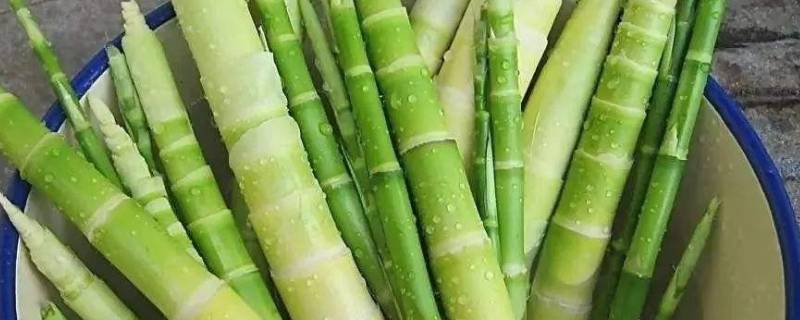 细长的竹笋是什么笋(细竹笋和超市里的粗笋一样能吃吗)