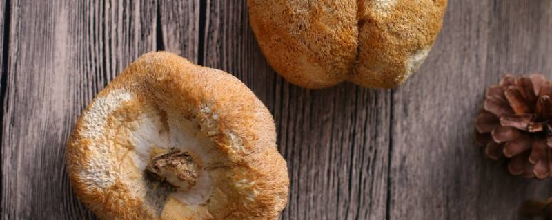 鲜猴头菇冷冻(新鲜猴头菇可以放冷冻吗)