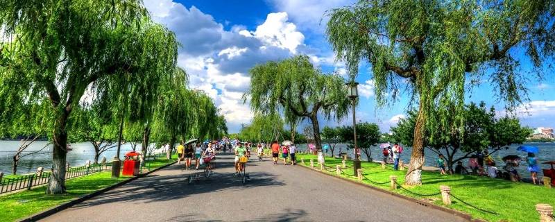 杭州是中国最重要的中心城市(杭州是中国第五城吗)