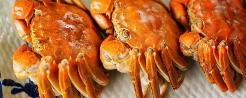 大闸蟹煮熟可以冷冻多长时间再吃(大闸蟹煮熟可以过夜吗)