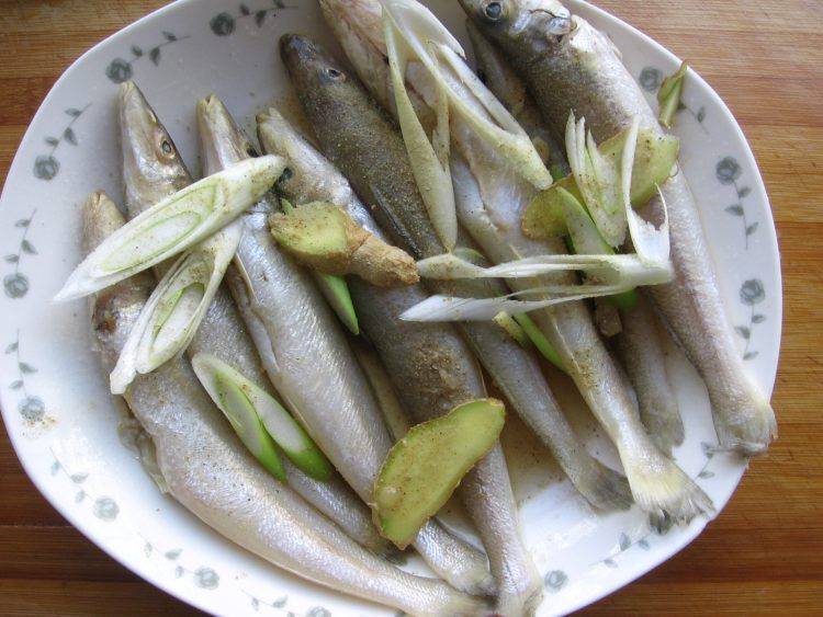 沙丁鱼怎么做好吃的视频(沙丁鱼怎么做好吃不油炸)