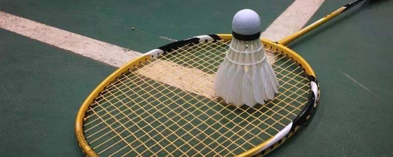 羽毛球是什么做的(羽毛球是什么做成的)