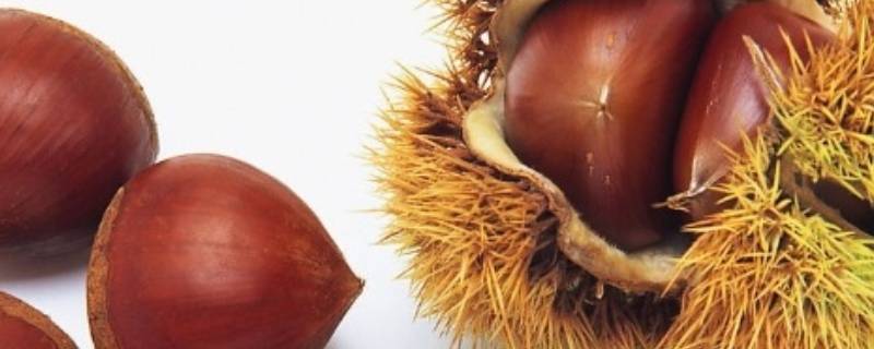 家庭炒板栗沙怎么炼制(炒板栗的沙怎么制)