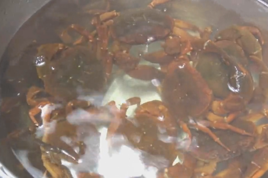 清蒸螃蟹怎么清洗最干净(清蒸螃蟹应该怎么清洗)