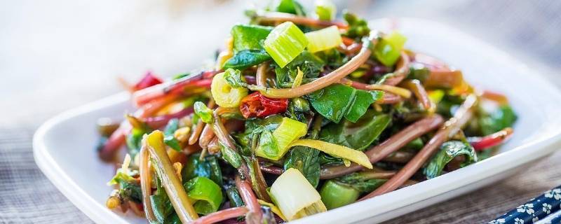 夏天十种凉拌菜(可以做凉拌菜的有哪些蔬菜)