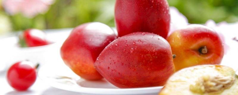 为什么有的油桃里面的核是裂开的(油桃裂核是什么原因)