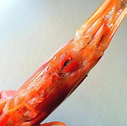 怎么洗虾子挑虾线(怎么洗虾子才洗得干净)