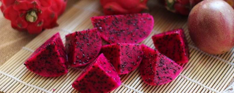 火龙果有虫子怎么办(火龙果里为什么有虫子)