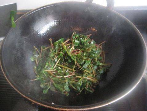 马齿苋凉拌能多吃吗(怎么样炒马齿苋)