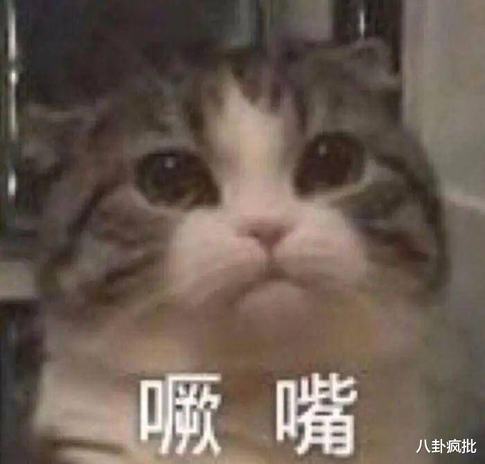 黄磊用心良苦！黄多多秀英文联健身，过度营销被吐槽！