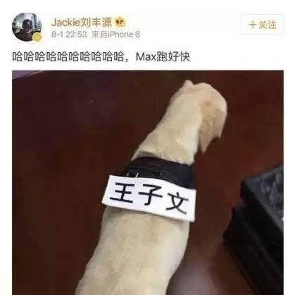 王凯的老婆是不是王子文(王凯王子文私下照片)