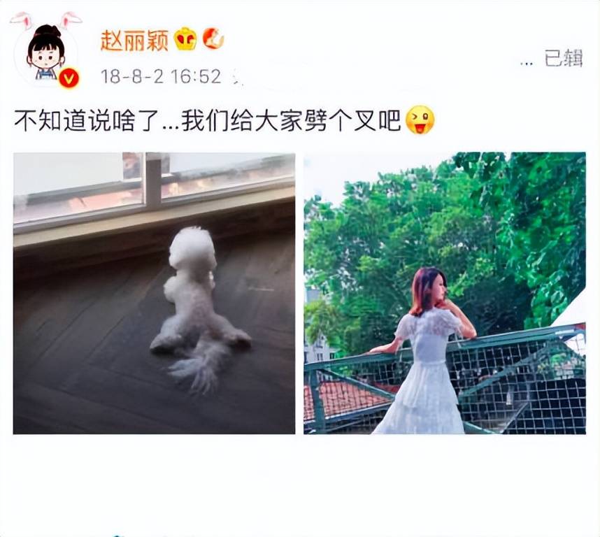 冯绍峰,赵丽颖为啥离婚(赵丽颖为什么跟冯绍峰离婚)