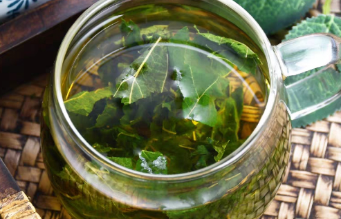 陈皮茶能经常喝吗(桑叶陈皮茶有什么功效)