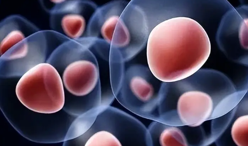 热射病对大脑的损伤(放射性脑损伤)