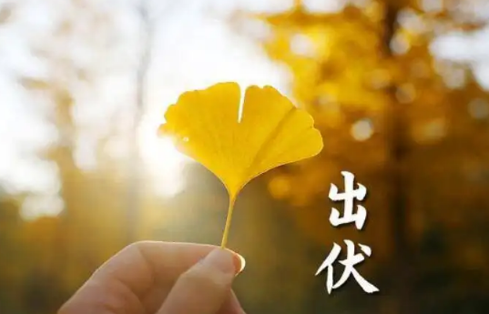 今年入伏是几月几日2022(2022年三伏天是几月几号)