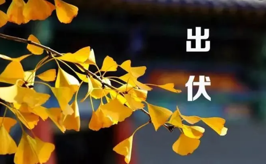 今年入伏是几月几日2022(2022年三伏天是几月几号)