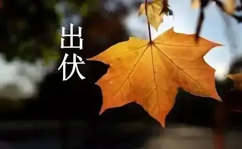 今年入伏是几月几日2022(2022年三伏天是几月几号)