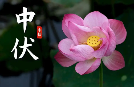 2022年入伏是几月几号(二伏天是几月几号2021几点)