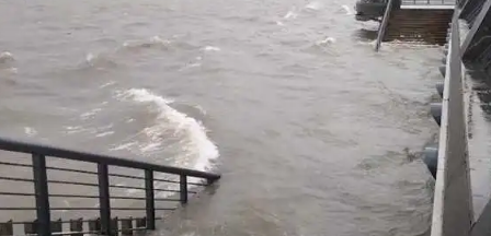 2021年上海防汛工作(上海今年汛期前后时间)