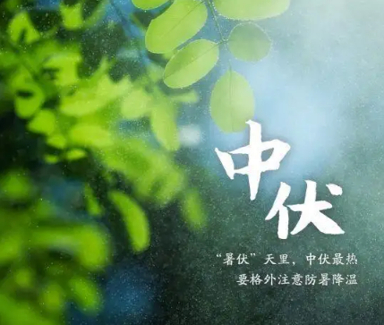 2022年入伏是几月几号(二伏天是几月几号2021几点)