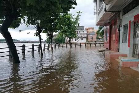 2021年上海防汛工作(上海今年汛期前后时间)