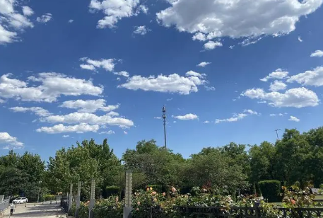 上海端午节气温(上海进入秋天标准气温)