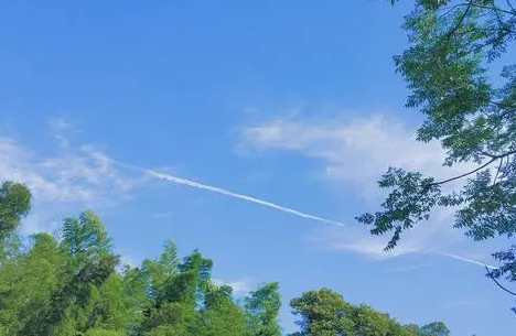 2021年上海夏天到什么时候(上海2021年夏天)