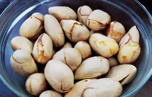 菠萝蜜核的功效与作用及其营养价值(菠萝蜜核的功效与作用吃法)