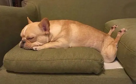 为什么女生容易得甲状腺癌(为什么女生容易得乳腺癌)