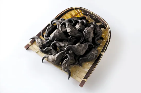 菱角没熟透可以吃吗(菱角晒干了怎么吃)