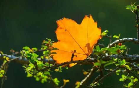 三伏天什么时候变凉快(立秋了还在三伏天吗)