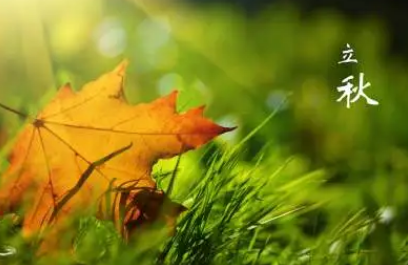 三伏天什么时候变凉快(立秋了还在三伏天吗)