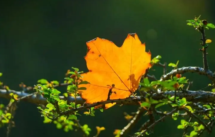 三伏天什么时候变凉快(立秋了还在三伏天吗)