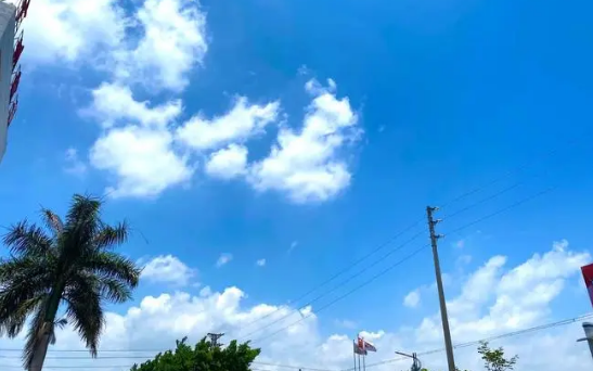 三伏天晒背的好处及作用和时间(三伏天晒背的好处及作用)