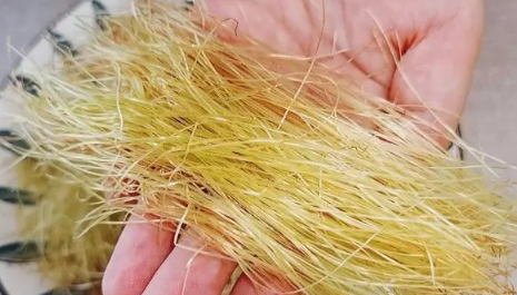 玉米须能重复煮吗(玉米须能重复熬水喝吗)