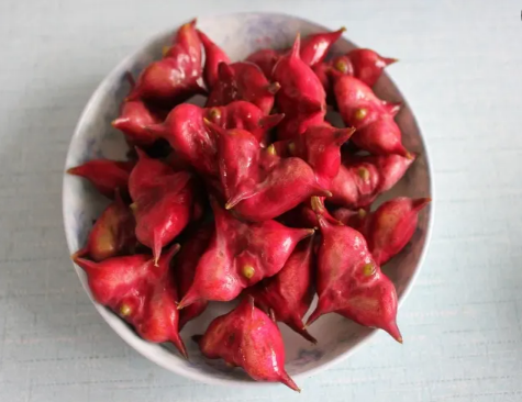 菱角苦了还能吃吗(菱角煮出来为什么是苦的)