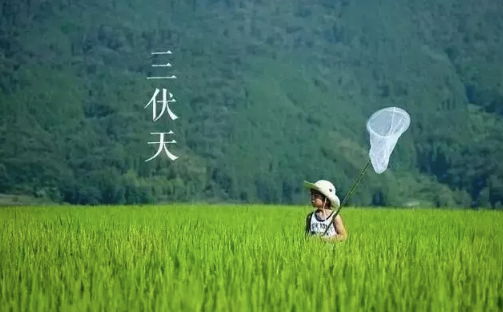 每天晒背30分钟的好处(湿气重每天晒背三小时可以吗)