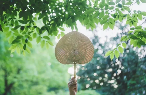 每天晒背30分钟的好处(湿气重每天晒背三小时可以吗)