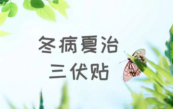 三伏灸和三伏贴可以同时做吗(三伏灸和三伏贴可以同时进行吗)