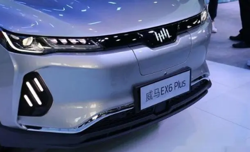 2022公认最好纯电动车suv(2022公认最好纯电动车suv6座)