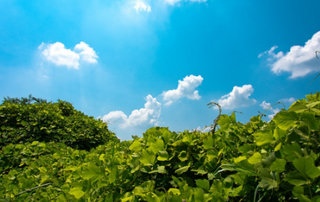 九月份开学天气热吗(2020年9月1号能开学吗)