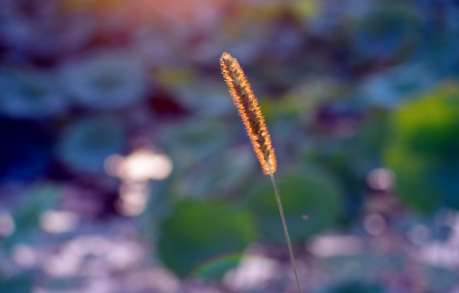 九月份开学天气热吗(2020年9月1号能开学吗)