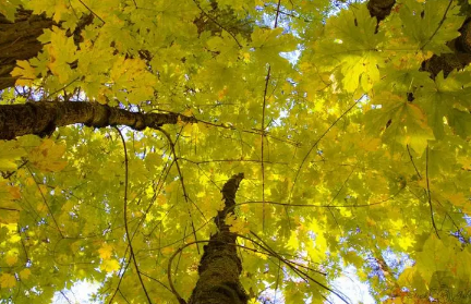 9月什么时候天气会冷(2020冬天39天气从什么时候)